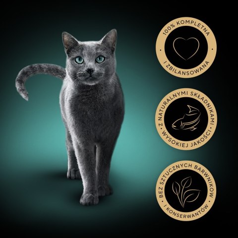 Sheba Sheba Delicacy Rybne Smaki w galaretce 80x85g Sheba Sheba Delicacy Rybne Smaki w galaretce 80x85g