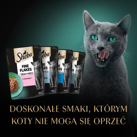 Sheba Sheba Delicacy Rybne Smaki w galaretce 80x85g Sheba Sheba Delicacy Rybne Smaki w galaretce 80x85g