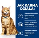 Hill's Hill's PD c/d urinary care, chicken, dla kota 3 kg