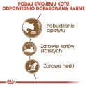 Royal Canin ROYAL CANIN Ageing +12 4kg