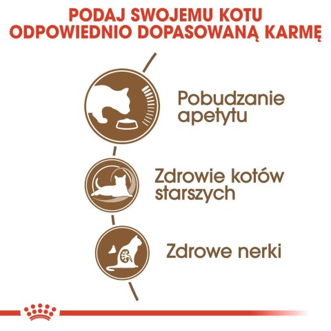 Royal Canin ROYAL CANIN Ageing +12 4kg Royal Canin ROYAL CANIN Ageing +12 4kg