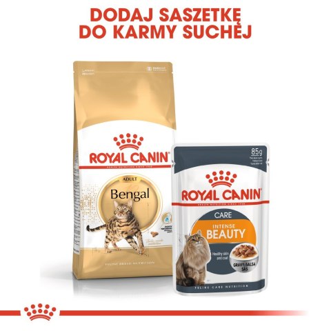 Royal Canin ROYAL CANIN Bengal Adult - sucha karma dla dorosłego kota - 10 kg Royal Canin ROYAL CANIN Bengal Adult - sucha karma dla dorosłego kota - 10 kg