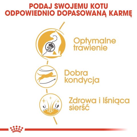 Royal Canin ROYAL CANIN Bengal Adult - sucha karma dla dorosłego kota - 10 kg Royal Canin ROYAL CANIN Bengal Adult - sucha karma dla dorosłego kota - 10 kg