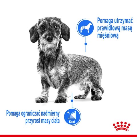 Royal Canin ROYAL CANIN CCN LIGHT WEIGHT CARE LOAF - mokra karma dla psa dorosłego - 12x85g Royal Canin ROYAL CANIN CCN LIGHT WEIGHT CARE LOAF - mokra karma dla psa dorosłego - 12x85g