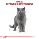 Royal Canin ROYAL CANIN FBN British Shorthair Adult - sucha karma dla dorosłego kota - 10kg