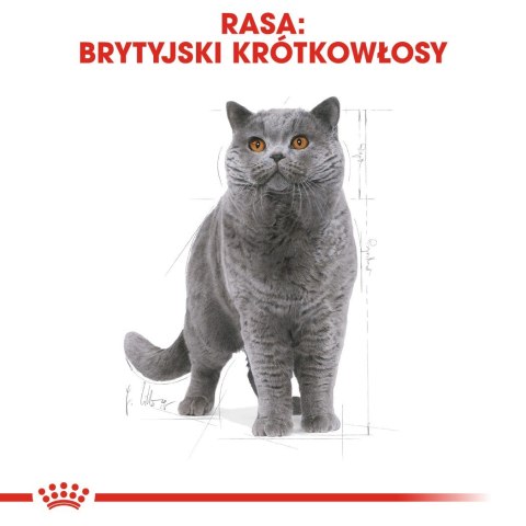 Royal Canin ROYAL CANIN FBN British Shorthair Adult - sucha karma dla dorosłego kota - 10kg Royal Canin ROYAL CANIN FBN British Shorthair Adult - sucha karma dla dorosłego kota - 10kg