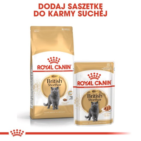 Royal Canin ROYAL CANIN FBN British Shorthair Adult - sucha karma dla dorosłego kota - 10kg Royal Canin ROYAL CANIN FBN British Shorthair Adult - sucha karma dla dorosłego kota - 10kg