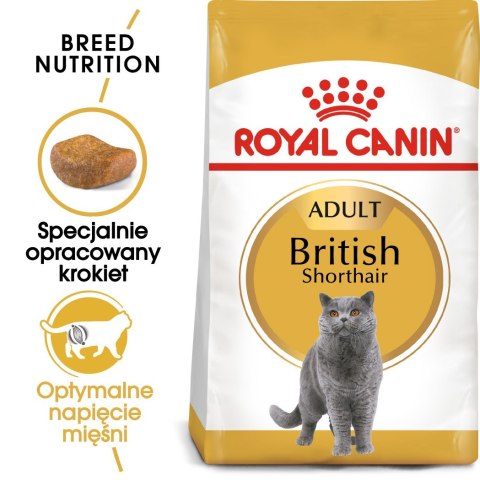 Royal Canin ROYAL CANIN FBN British Shorthair Adult - sucha karma dla dorosłego kota - 10kg Royal Canin ROYAL CANIN FBN British Shorthair Adult - sucha karma dla dorosłego kota - 10kg