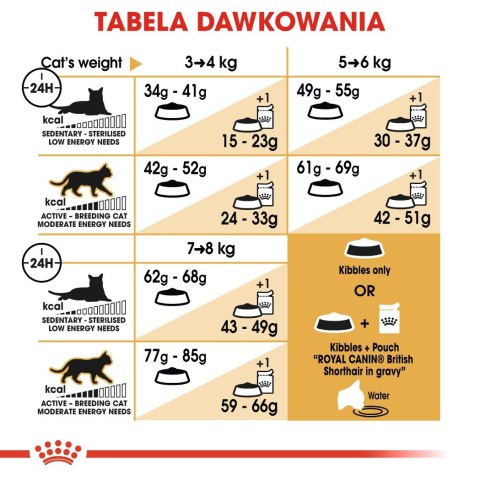 Royal Canin ROYAL CANIN FBN British Shorthair Adult - sucha karma dla dorosłego kota - 10kg Royal Canin ROYAL CANIN FBN British Shorthair Adult - sucha karma dla dorosłego kota - 10kg