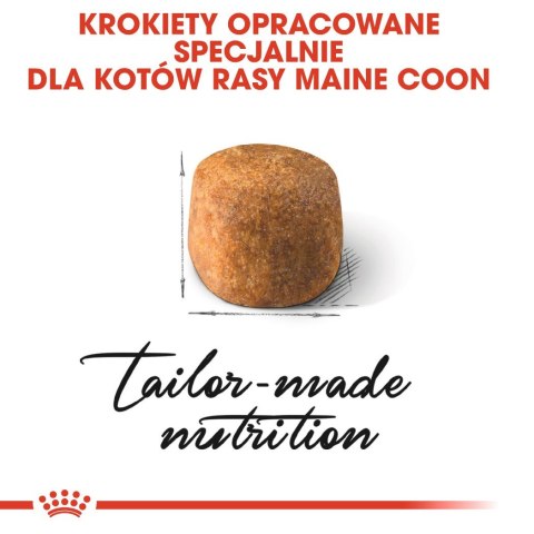 Royal Canin ROYAL CANIN FBN Maine Coon Adult - sucha karma dla dorosłego kota - 10kg Royal Canin ROYAL CANIN FBN Maine Coon Adult - sucha karma dla dorosłego kota - 10kg