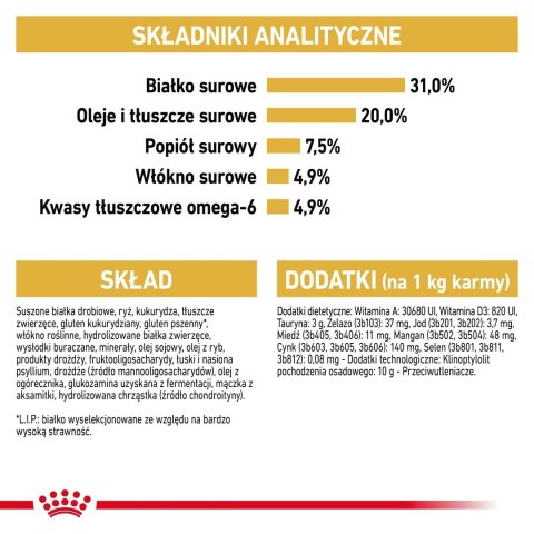 Royal Canin ROYAL CANIN FBN Maine Coon Adult - sucha karma dla dorosłego kota - 10kg Royal Canin ROYAL CANIN FBN Maine Coon Adult - sucha karma dla dorosłego kota - 10kg