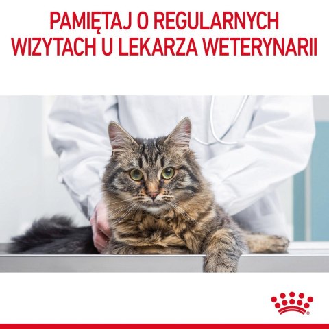 Royal Canin ROYAL CANIN FCN Urinary Care - sucha karma dla kota dorosłego - 4kg Royal Canin ROYAL CANIN FCN Urinary Care - sucha karma dla kota dorosłego - 4kg