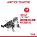 Royal Canin ROYAL CANIN FCN Urinary Care - sucha karma dla kota dorosłego - 4kg