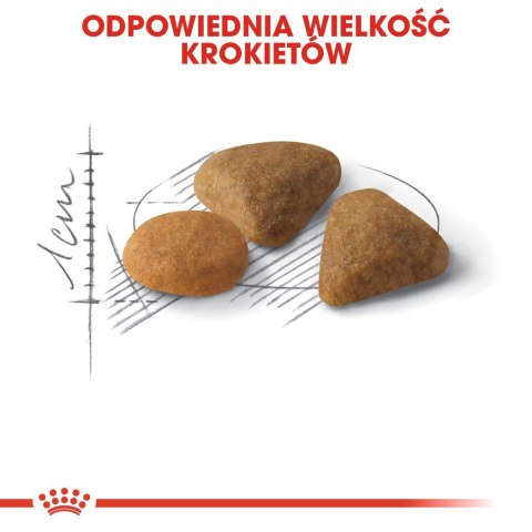 Royal Canin ROYAL CANIN FHN Exigent Savour Sensation - sucha karma dla kota dorosłego - 4kg Royal Canin ROYAL CANIN FHN Exigent Savour Sensation - sucha karma dla kota dorosłego - 4kg