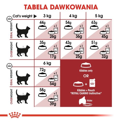Royal Canin ROYAL CANIN FHN Regular Fit 32 - sucha karma dla kota dorosłego - 2 kg Royal Canin ROYAL CANIN FHN Regular Fit 32 - sucha karma dla kota dorosłego - 2 kg