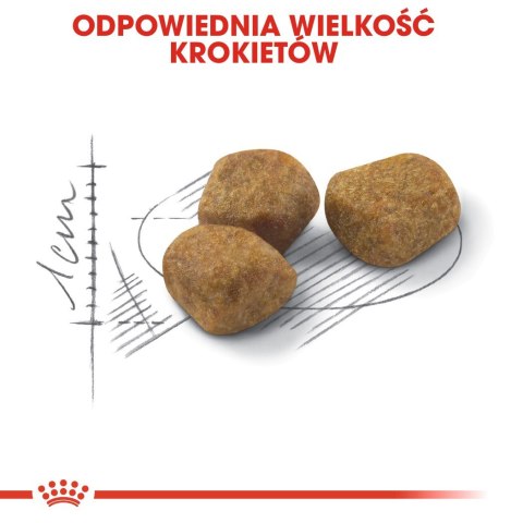 Royal Canin ROYAL CANIN FHN Regular Fit 32 - sucha karma dla kota dorosłego - 2 kg Royal Canin ROYAL CANIN FHN Regular Fit 32 - sucha karma dla kota dorosłego - 2 kg
