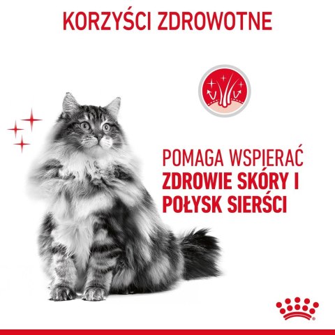 Royal Canin ROYAL CANIN Hair & Skin Care 2kg Royal Canin ROYAL CANIN Hair & Skin Care 2kg