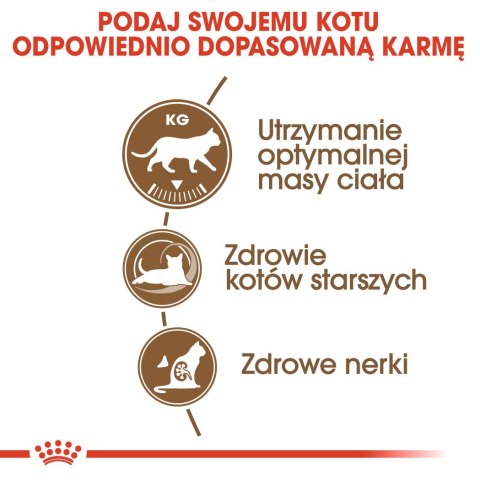 Royal Canin ROYAL CANIN Senior Ageing 12+ Sterilised - sucha karma dla kota - 4 kg Royal Canin ROYAL CANIN Senior Ageing 12+ Sterilised - sucha karma dla kota - 4 kg