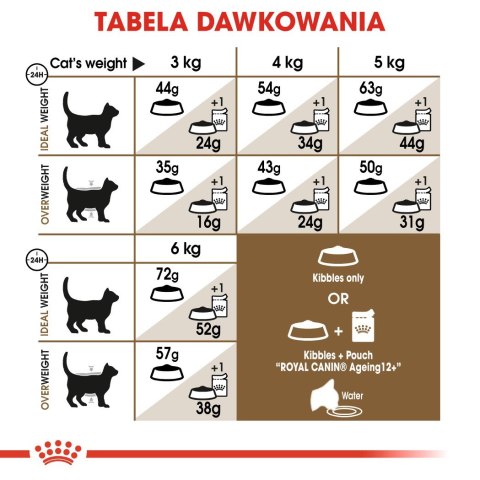 Royal Canin ROYAL CANIN Senior Ageing 12+ Sterilised - sucha karma dla kota - 4 kg Royal Canin ROYAL CANIN Senior Ageing 12+ Sterilised - sucha karma dla kota - 4 kg