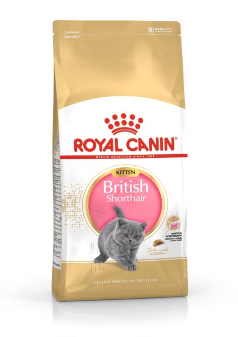 Royal Canin Royal Canin FBN British Shorthair Kitten - sucha karma dla kociąt - 2 kg Royal Canin Royal Canin FBN British Shorthair Kitten - sucha karma dla kociąt - 2 kg