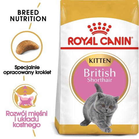 Royal Canin Royal Canin FBN British Shorthair Kitten - sucha karma dla kociąt - 2 kg Royal Canin Royal Canin FBN British Shorthair Kitten - sucha karma dla kociąt - 2 kg