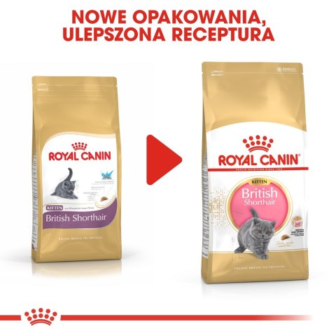 Royal Canin Royal Canin FBN British Shorthair Kitten - sucha karma dla kociąt - 2 kg Royal Canin Royal Canin FBN British Shorthair Kitten - sucha karma dla kociąt - 2 kg