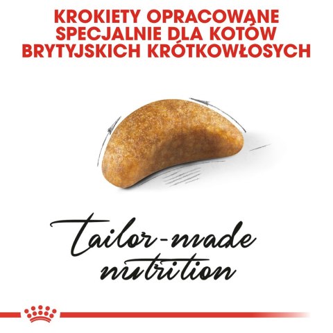 Royal Canin Royal Canin FBN British Shorthair Kitten - sucha karma dla kociąt - 2 kg Royal Canin Royal Canin FBN British Shorthair Kitten - sucha karma dla kociąt - 2 kg