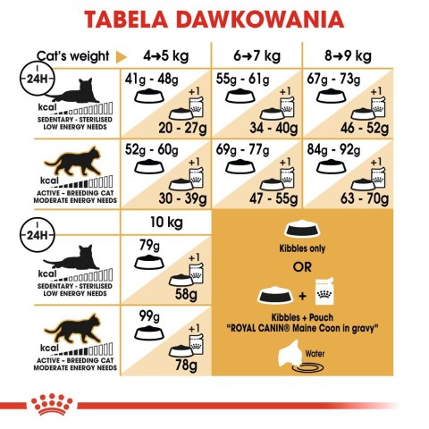 Royal Canin Royal Canin FBN Maine Coon Adult - sucha karma dla kota dorosłego - 4kg Royal Canin Royal Canin FBN Maine Coon Adult - sucha karma dla kota dorosłego - 4kg