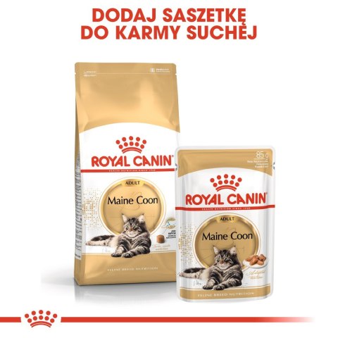 Royal Canin Royal Canin FBN Maine Coon Adult - sucha karma dla kota dorosłego - 4kg Royal Canin Royal Canin FBN Maine Coon Adult - sucha karma dla kota dorosłego - 4kg