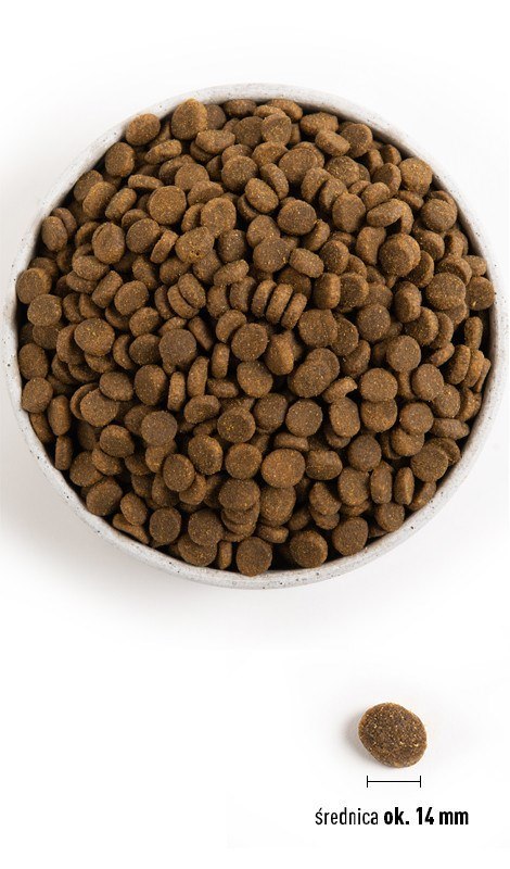 ACANA ACANA Highest Protein Pacifica Dog - sucha karma dla psa - 11,4 kg ACANA ACANA Highest Protein Pacifica Dog - sucha karma dla psa - 11,4 kg