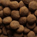 BIOFEED BIOFEED NASZ PIES Z WOŁOWINĄ 15 KG