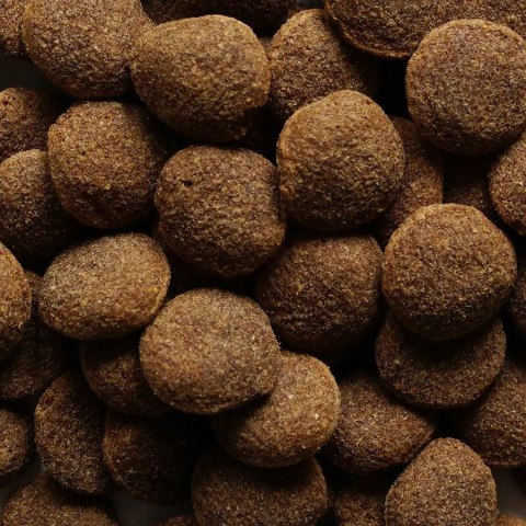 BIOFEED BIOFEED NASZ PIES Z WOŁOWINĄ 15 KG BIOFEED BIOFEED NASZ PIES Z WOŁOWINĄ 15 KG