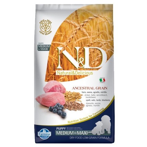 Farmina FARMINA N&D Ancestral Grain Lamb & Blueberry Puppy Medium & Maxi - sucha karma dla szczeniąt - 12kg Farmina FARMINA N&D Ancestral Grain Lamb & Blueberry Puppy Medium & Maxi - sucha karma dla szczeniąt - 12kg