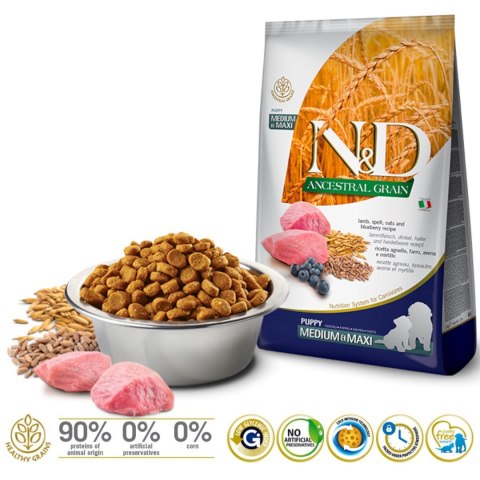 Farmina FARMINA N&D Ancestral Grain Lamb & Blueberry Puppy Medium & Maxi - sucha karma dla szczeniąt - 12kg Farmina FARMINA N&D Ancestral Grain Lamb & Blueberry Puppy Medium & Maxi - sucha karma dla szczeniąt - 12kg