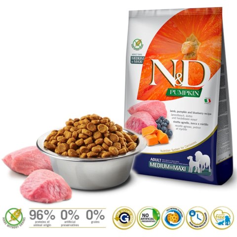 Farmina FARMINA N&D Pumpkin Lamb & Blueberry Adult Medium & Maxi - sucha karma dla psa - 12kg Farmina FARMINA N&D Pumpkin Lamb & Blueberry Adult Medium & Maxi - sucha karma dla psa - 12kg