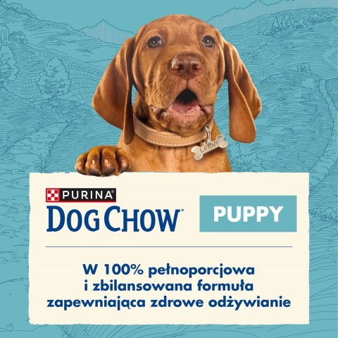 PURINA NESTLE PURINA DOG CHOW Puppy Lamb - sucha karma dla szczeniąt wszystkich ras - 14 kg PURINA NESTLE PURINA DOG CHOW Puppy Lamb - sucha karma dla szczeniąt wszystkich ras - 14 kg
