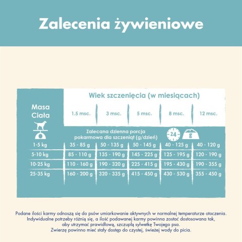 PURINA NESTLE PURINA DOG CHOW Puppy Lamb - sucha karma dla szczeniąt wszystkich ras - 14 kg PURINA NESTLE PURINA DOG CHOW Puppy Lamb - sucha karma dla szczeniąt wszystkich ras - 14 kg