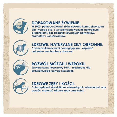 PURINA NESTLE PURINA DOG CHOW Puppy Lamb - sucha karma dla szczeniąt wszystkich ras - 14 kg PURINA NESTLE PURINA DOG CHOW Puppy Lamb - sucha karma dla szczeniąt wszystkich ras - 14 kg