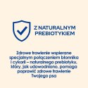 PURINA NESTLE PURINA DOG CHOW SENSITIVE Łosoś 14+2,5kg