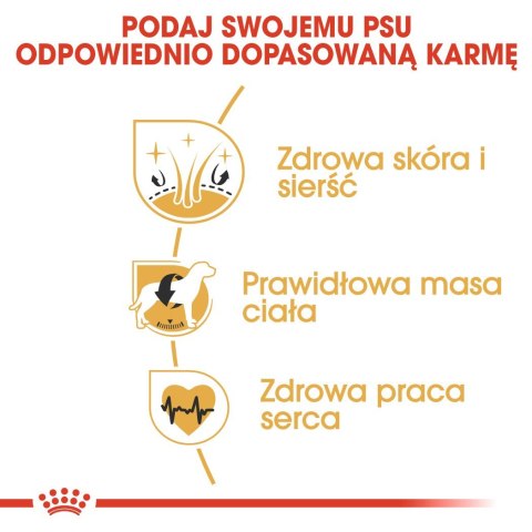 Royal Canin ROYAL CANIN BHN Cocker Adult - sucha karma dla psa dorosłego - 12 kg Royal Canin ROYAL CANIN BHN Cocker Adult - sucha karma dla psa dorosłego - 12 kg
