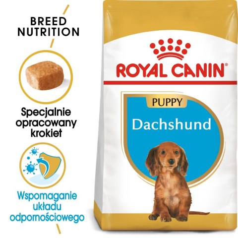 Royal Canin ROYAL CANIN BHN Dachshund Puppy - sucha karma dla szczeniąt - 1,5kg Royal Canin ROYAL CANIN BHN Dachshund Puppy - sucha karma dla szczeniąt - 1,5kg