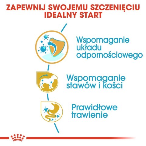 Royal Canin ROYAL CANIN BHN Dachshund Puppy - sucha karma dla szczeniąt - 1,5kg Royal Canin ROYAL CANIN BHN Dachshund Puppy - sucha karma dla szczeniąt - 1,5kg