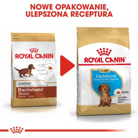 Royal Canin ROYAL CANIN BHN Dachshund Puppy - sucha karma dla szczeniąt - 1,5kg Royal Canin ROYAL CANIN BHN Dachshund Puppy - sucha karma dla szczeniąt - 1,5kg
