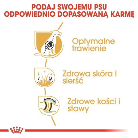Royal Canin ROYAL CANIN BHN German Sh Ad - sucha karma dla psa dorosłego - 11 kg Royal Canin ROYAL CANIN BHN German Sh Ad - sucha karma dla psa dorosłego - 11 kg