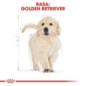 Royal Canin ROYAL CANIN BHN Golden Retriever Puppy - sucha karma dla szczeniąt - 12 kg