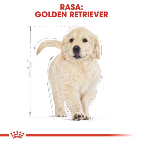 Royal Canin ROYAL CANIN BHN Golden Retriever Puppy - sucha karma dla szczeniąt - 12 kg Royal Canin ROYAL CANIN BHN Golden Retriever Puppy - sucha karma dla szczeniąt - 12 kg
