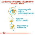 Royal Canin ROYAL CANIN BHN Golden Retriever Puppy - sucha karma dla szczeniąt - 12 kg