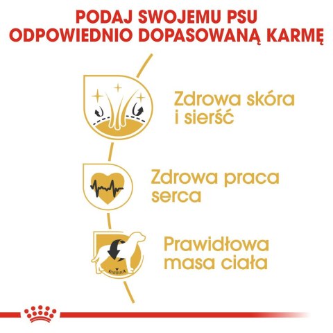 Royal Canin ROYAL CANIN BHN Golden Retriever - sucha karma dla psa dorosłego - 12 kg Royal Canin ROYAL CANIN BHN Golden Retriever - sucha karma dla psa dorosłego - 12 kg