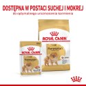 Royal Canin ROYAL CANIN BHN Pomeranian Adult - sucha karma dla psa dorosłego - 3kg