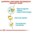 Royal Canin ROYAL CANIN BHN Yorkshire Puppy - sucha karma dla szczeniąt - 1,5 kg